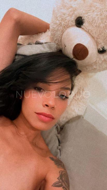 NuevoLoquo1
