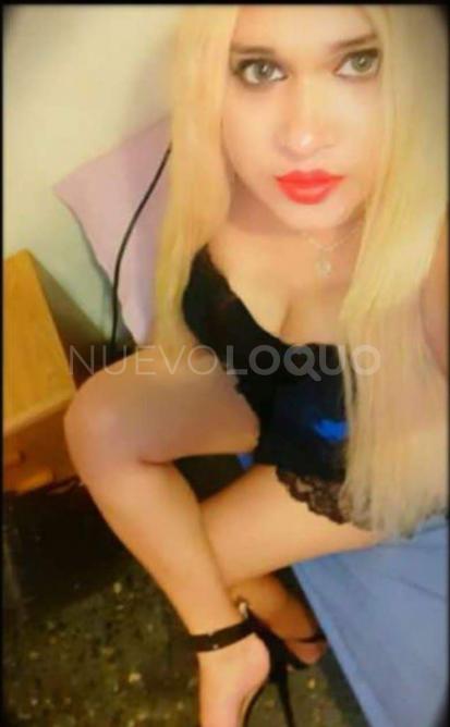 NuevoLoquo5