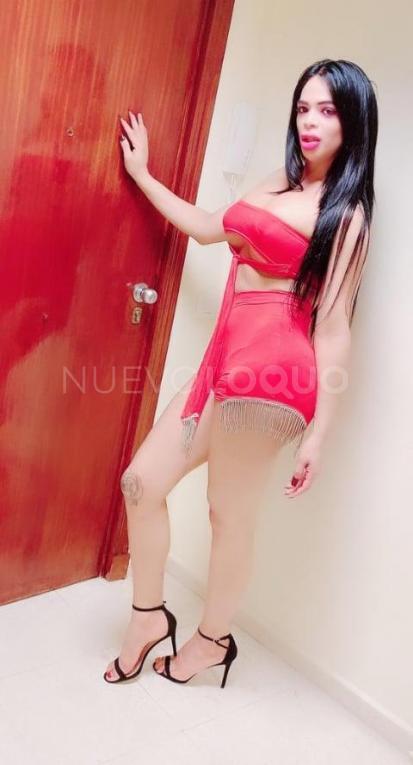 NuevoLoquo3