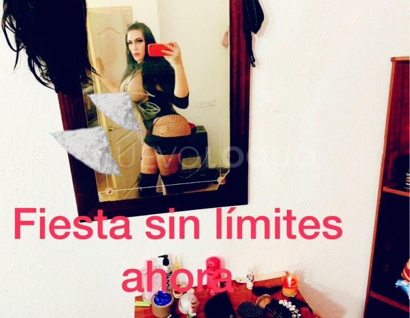  EXPERTA, Experta en