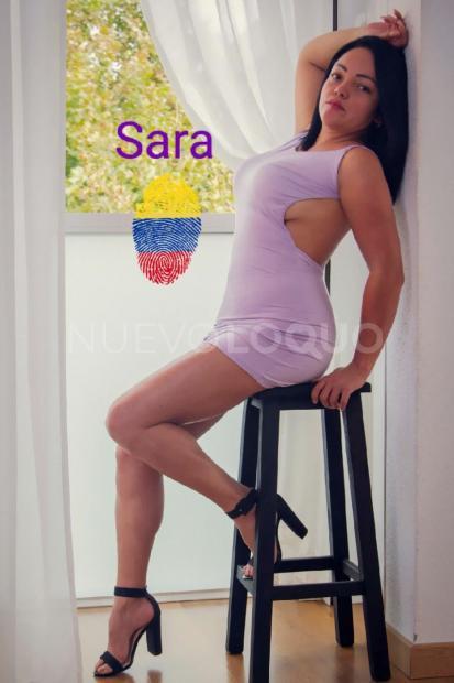 NuevoLoquo3