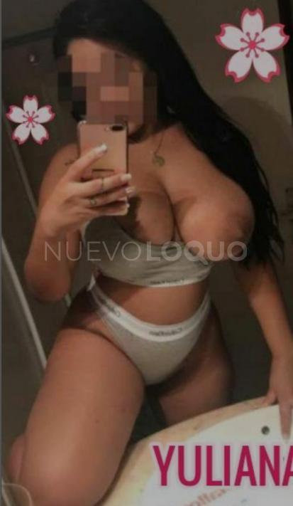 NuevoLoquo3