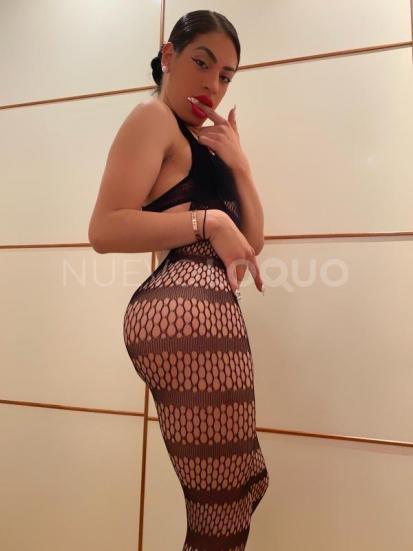 NuevoLoquo3
