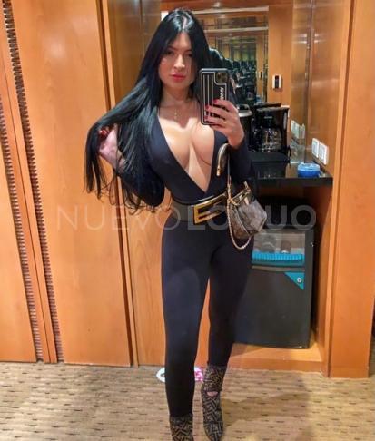 NuevoLoquo2