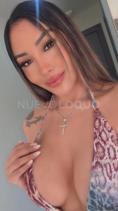 NuevoLoquo3