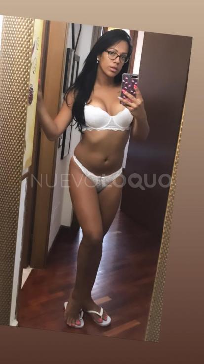 NuevoLoquo2