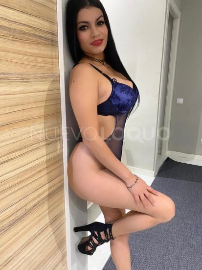 NuevoLoquo2