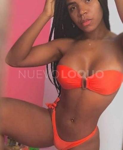 NuevoLoquo3