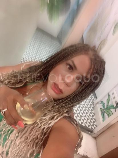 NuevoLoquo4
