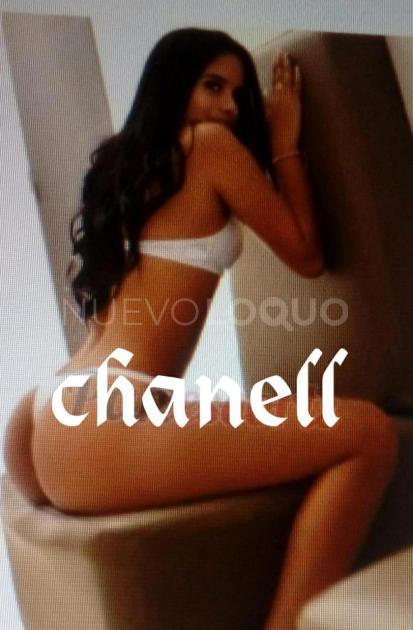 NuevoLoquo4