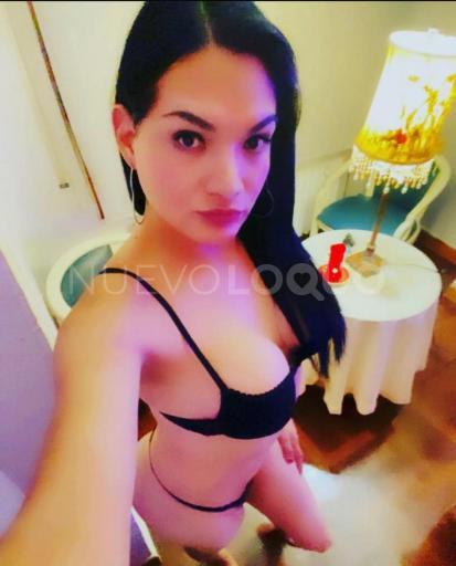 NuevoLoquo1