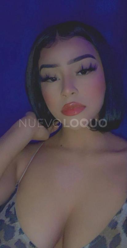 NuevoLoquo3