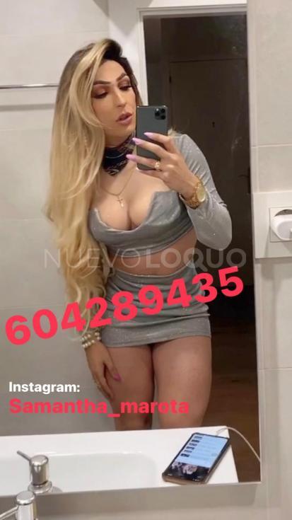 NuevoLoquo2