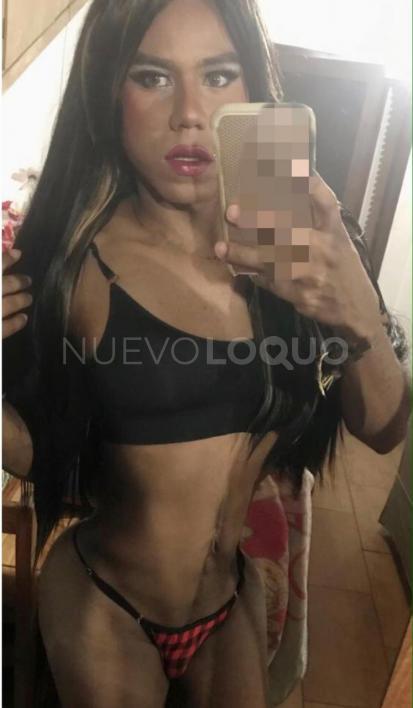 NuevoLoquo4