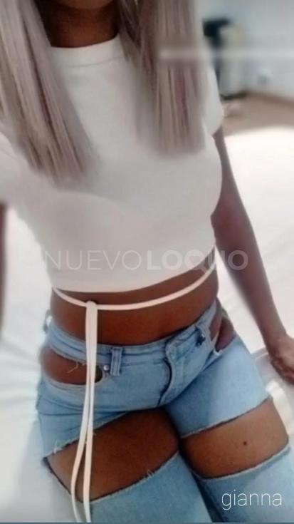 NuevoLoquo3
