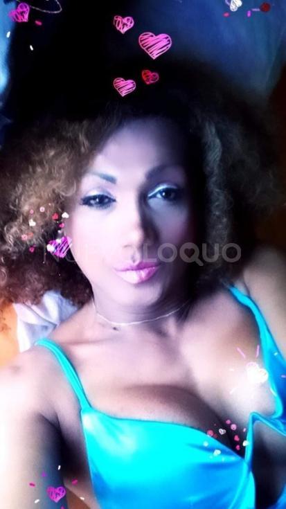 NuevoLoquo3