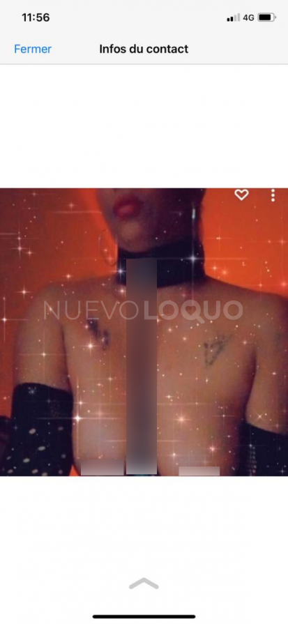 NuevoLoquo3
