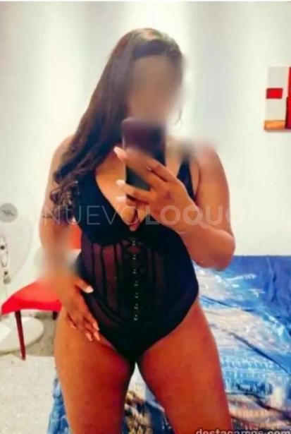 NuevoLoquo3