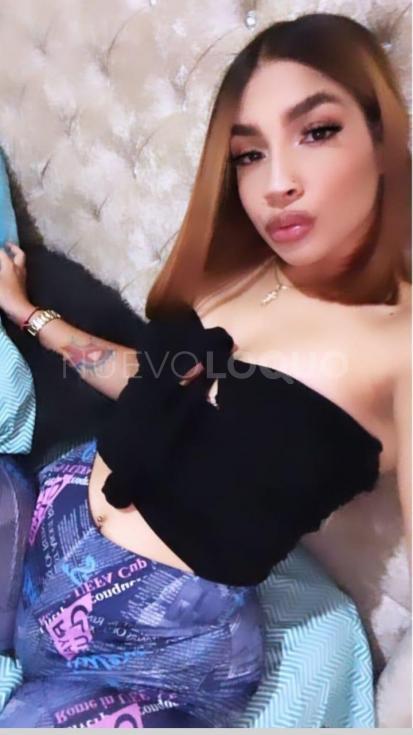NuevoLoquo1