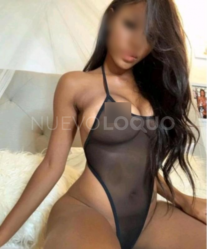NuevoLoquo2