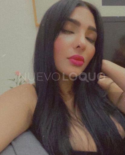 NuevoLoquo3
