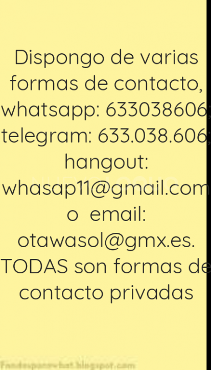 NuevoLoquo3