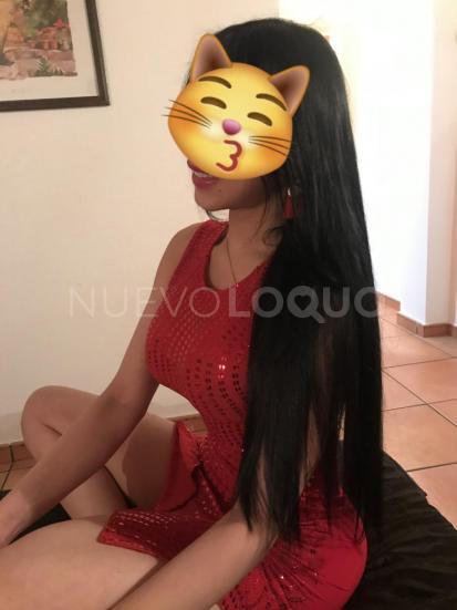 NuevoLoquo5