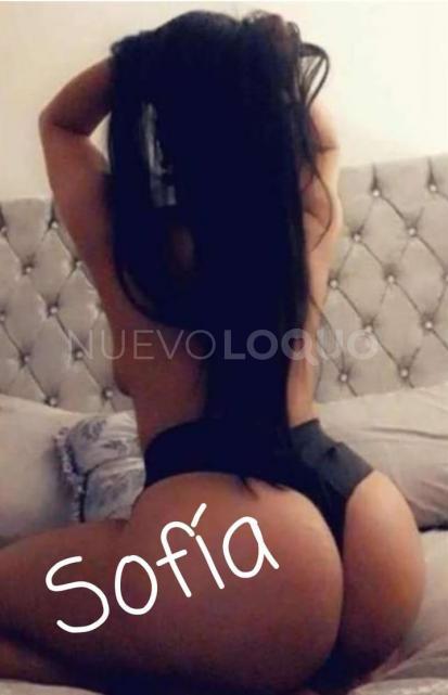 NuevoLoquo1
