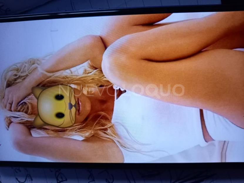 NuevoLoquo2