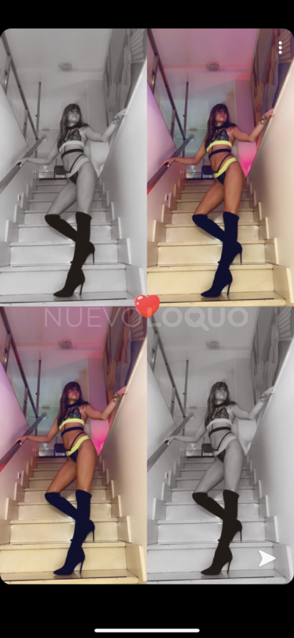 NuevoLoquo2