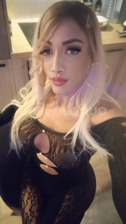 NuevoLoquo1