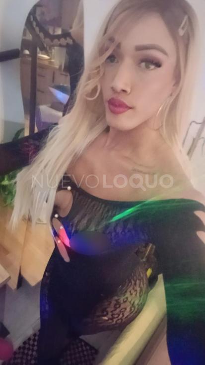 NuevoLoquo3