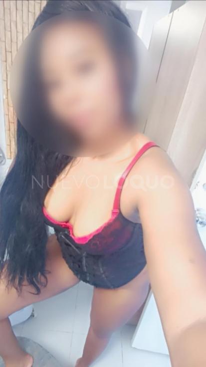 NuevoLoquo2
