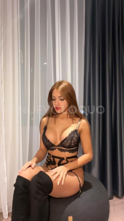 NuevoLoquo2