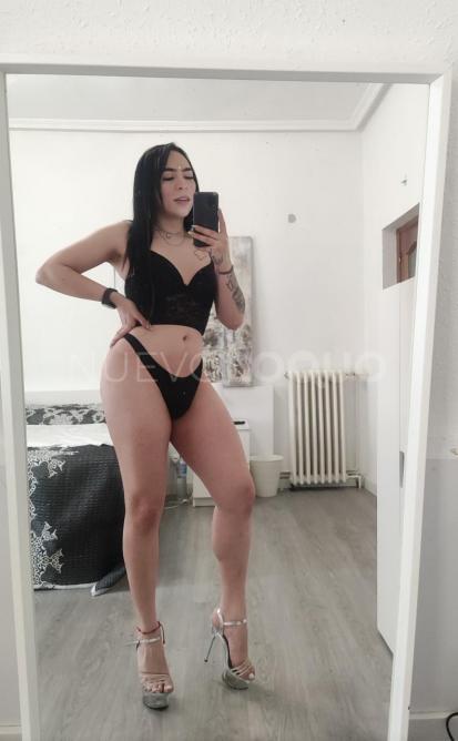 NuevoLoquo2
