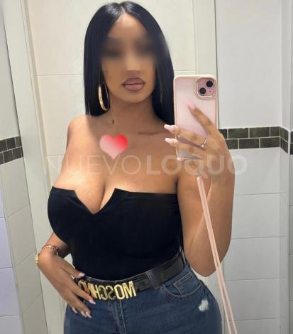 NuevoLoquo2