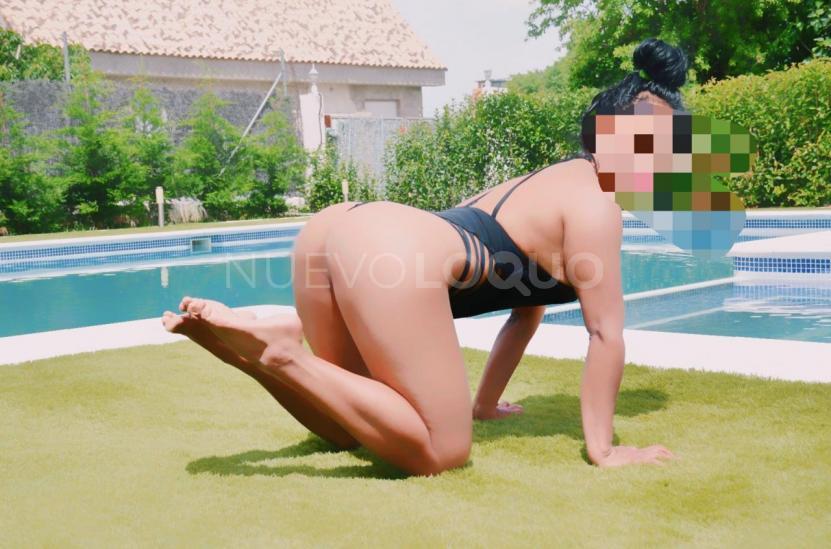 NuevoLoquo4