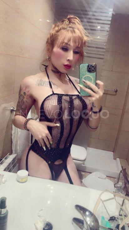NuevoLoquo2