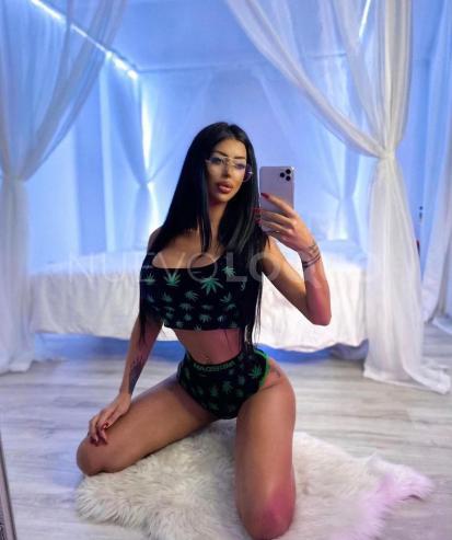 NuevoLoquo2