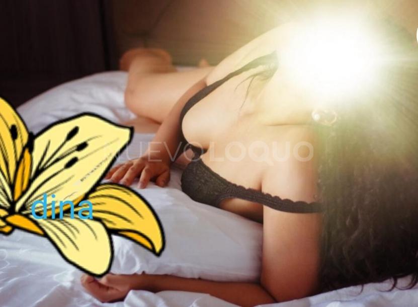 NuevoLoquo3
