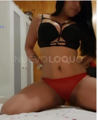 NuevoLoquo2