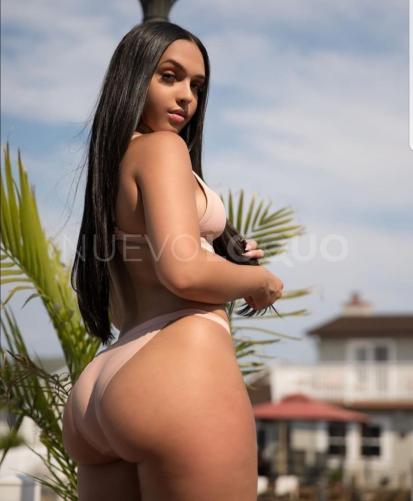 NuevoLoquo2