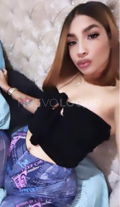 NuevoLoquo1