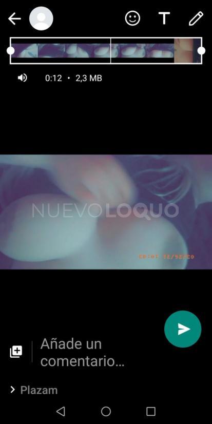 NuevoLoquo2