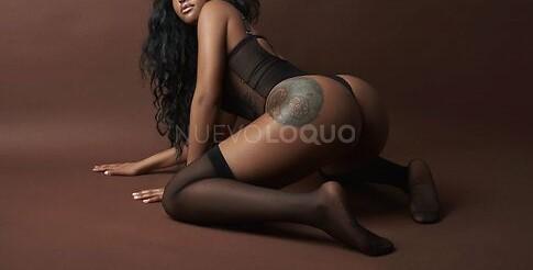 NuevoLoquo2