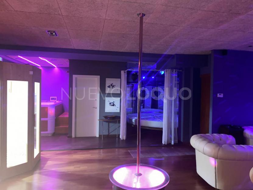 NuevoLoquo3