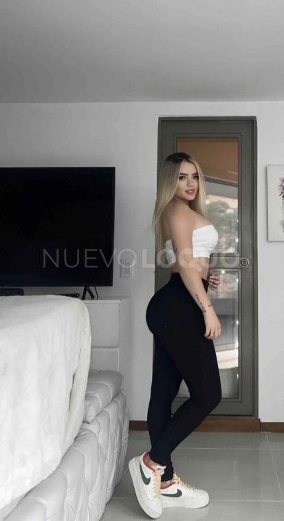 NuevoLoquo1