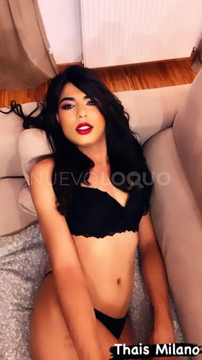 NuevoLoquo1