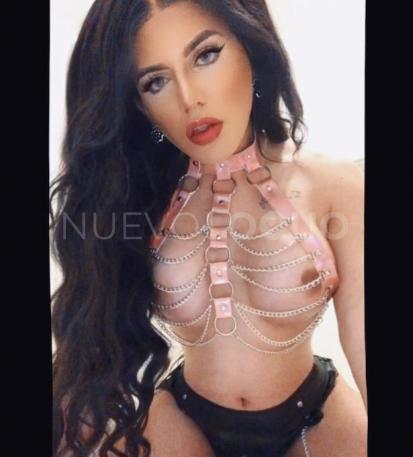  Hermosa Trans latina
