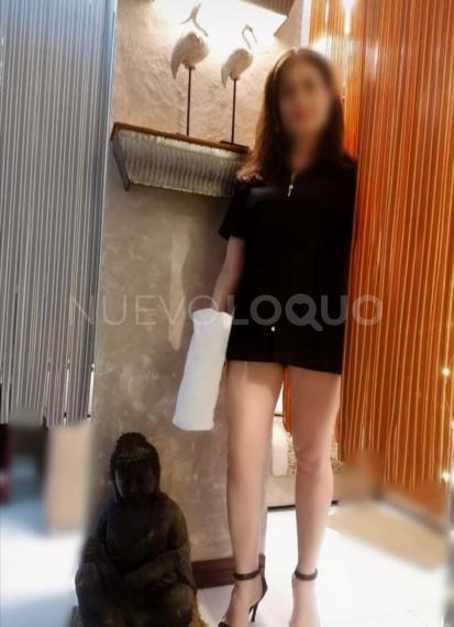 NuevoLoquo3